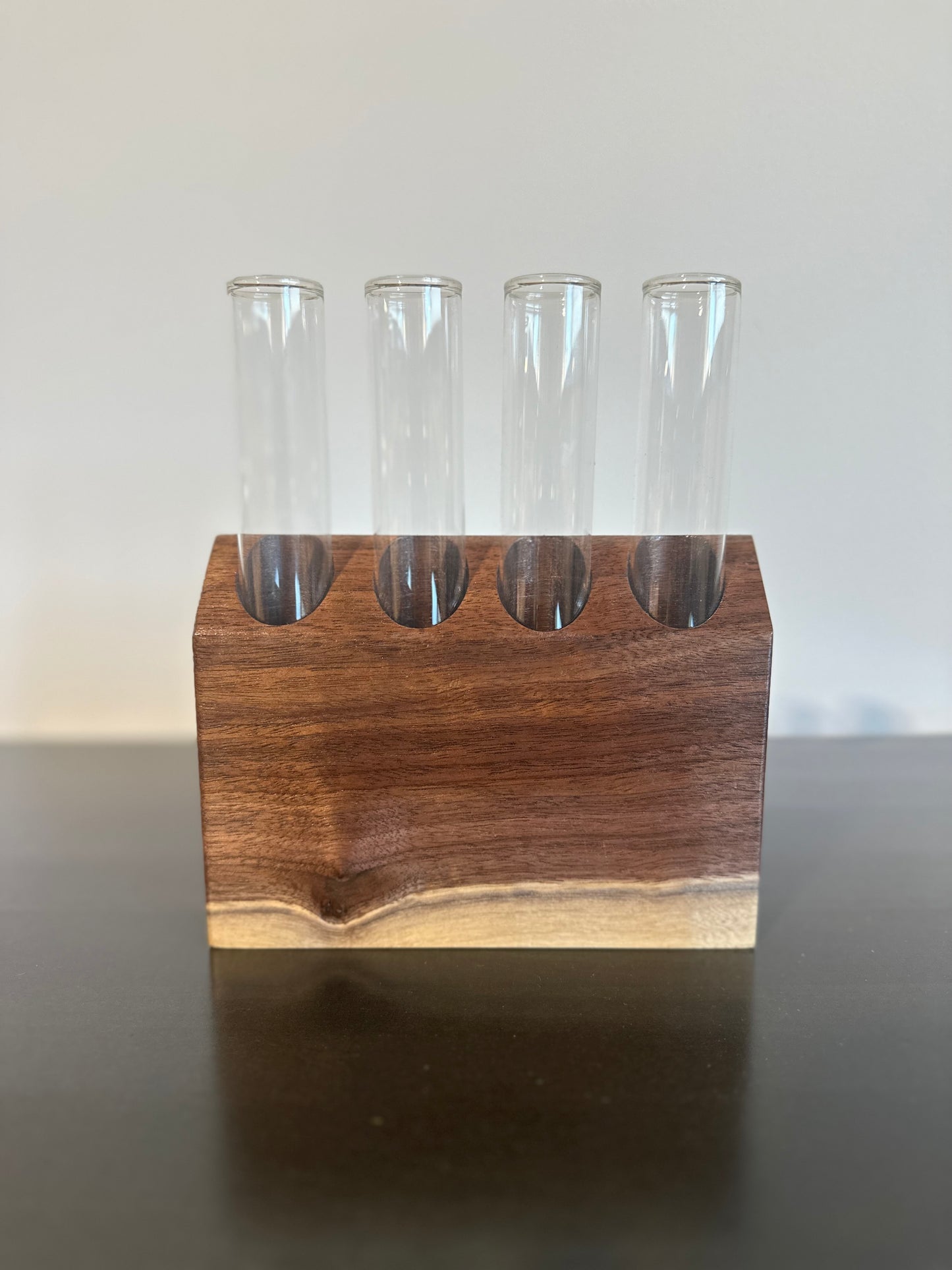 Walnut Propagation Station